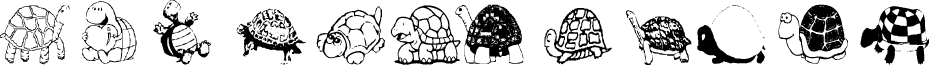 AEZturtle
