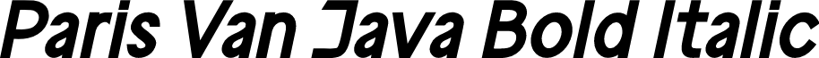 ParisVanJava Bold Italic